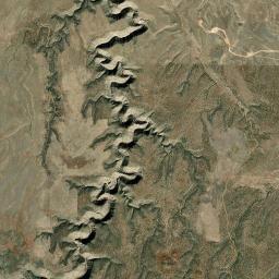 Whitted Place Arizona map(satellite map)