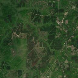 Newsome Springs Alabama map(satellite map)
