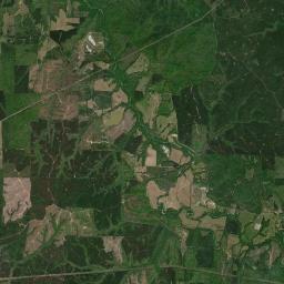 Pogo Alabama map(satellite map)