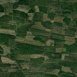 Faulkner Springs Arkansas map(satellite map)