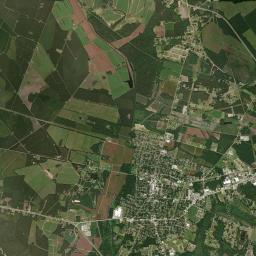 Marion Satellite Map