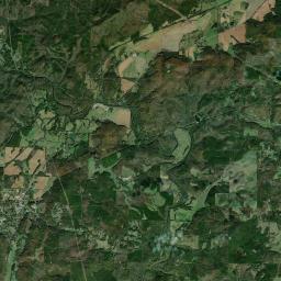 Cave Spring Satellite Map