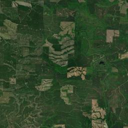 Graysonia Arkansas map(satellite map)