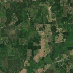 Detroit Alabama map(satellite map)