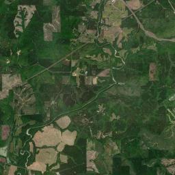 Henson Springs Alabama map(satellite map)
