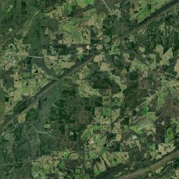 Walnut Grove Alabama map(satellite map)