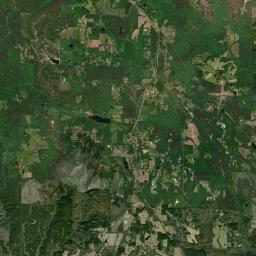 Slicklizzard Alabama map(satellite map)