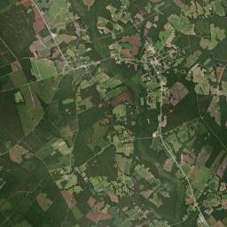 Pamplico Satellite Map