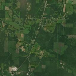 Curtis Arkansas map(satellite map)