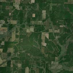 Dallas County Satellite Map