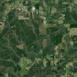 Steele Alabama map(satellite map)