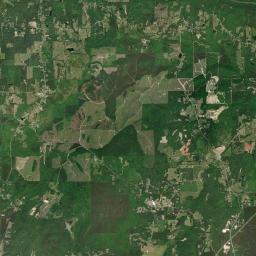 Webster Chapel Alabama map(satellite map)