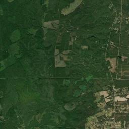 Wedgefield Satellite Map