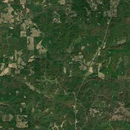 Fowlers Crossroads Alabama map(satellite map)