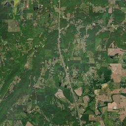 Wellington Alabama map(satellite map)