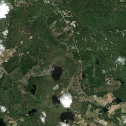 Lexington Satellite Map