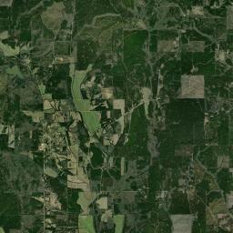 Walthall Satellite Map
