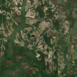 Williamsburg County Satellite Map