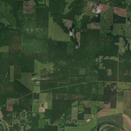 Cole Arkansas map(satellite map)
