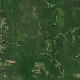 Newtonville Alabama map(satellite map)