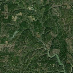Whitson Alabama map(satellite map)