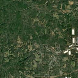 Palmetto Satellite Map