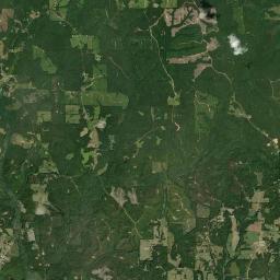 Palmetto Alabama map(satellite map)