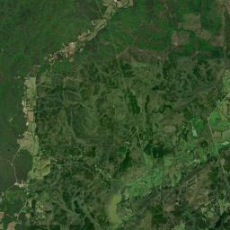 Needmore Alabama map(satellite map)