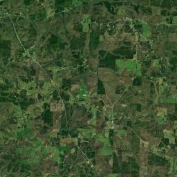 Pine Tuckey Alabama map(satellite map)