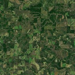 Newell Alabama map(satellite map)