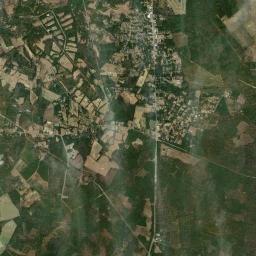 New Ellenton Satellite Map