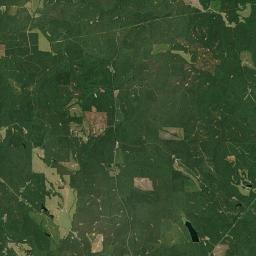 Carloss Alabama map(satellite map)