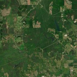 Bowden Grove Alabama map(satellite map)