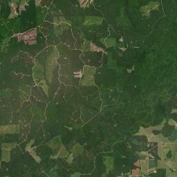 Pioneer Alabama map(satellite map)