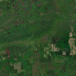 Roselle Alabama map(satellite map)