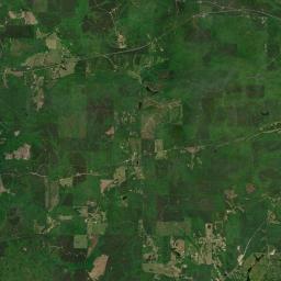 Shady Grove Alabama map(satellite map)