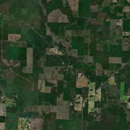 Bussey Arkansas map(satellite map)
