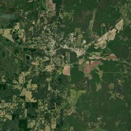 Lexington Satellite Map