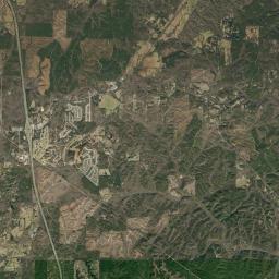 Springs Junction Alabama map(satellite map)
