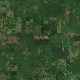 Skeggs Crossroads Alabama map(satellite map)