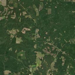 Ridge Alabama map(satellite map)