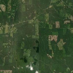 Snoddy Alabama map(satellite map)