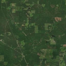 Capps City Arkansas map(satellite map)