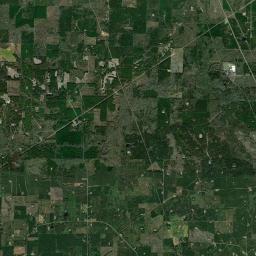 Forest Grove Arkansas map(satellite map)