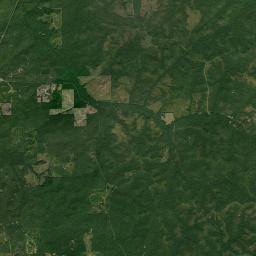 Phipps Alabama map(satellite map)