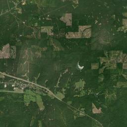 Vick Alabama map(satellite map)