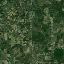 Mineral Springs Alabama map(satellite map)