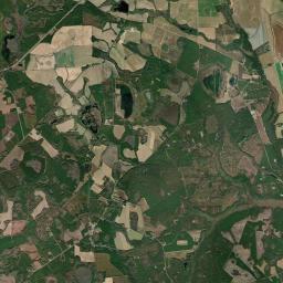 Allendale County Satellite Map