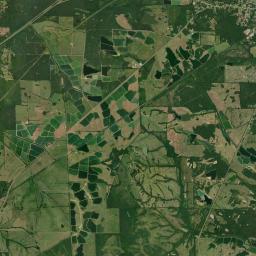 Allison Alabama map(satellite map)