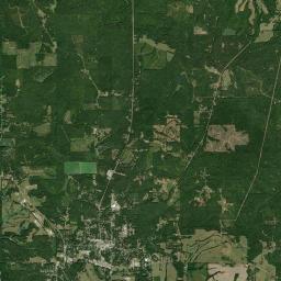 Greensboro Alabama map(satellite map)